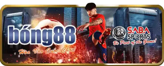 Đa dạng các môn thể thao tại bl555ap